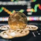Elon Musk XRP Rumor
