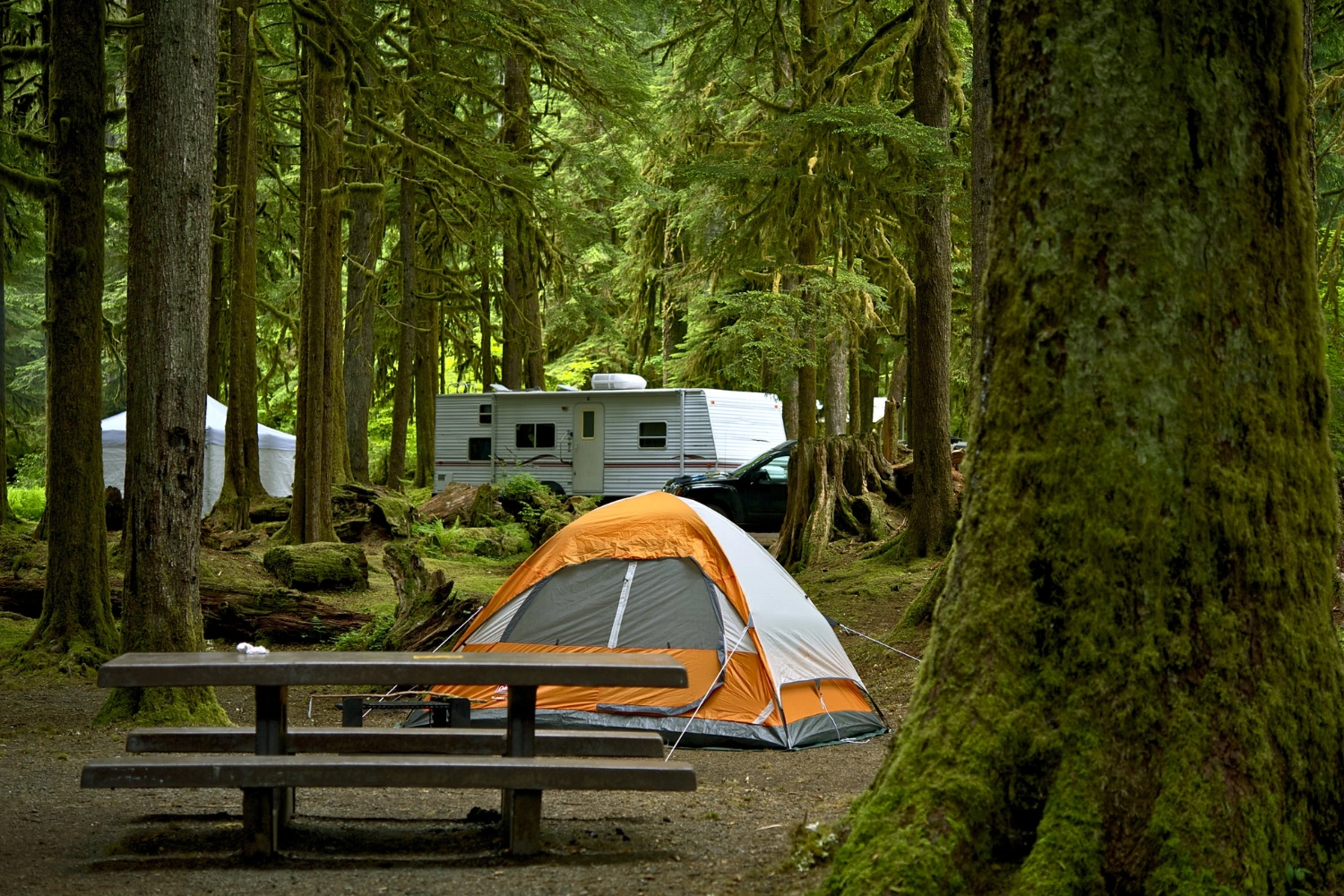 campgrounds for sale