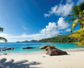 Beaches in California