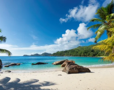 Beaches in California