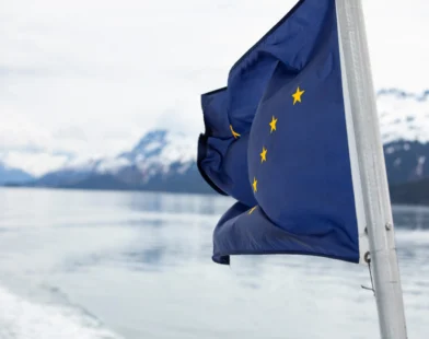 Alaska State Flag